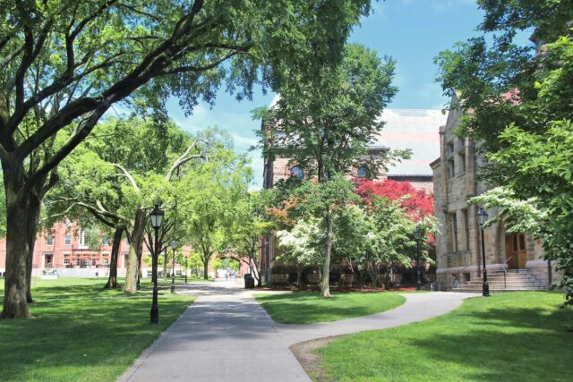 The Truth About Administrative Bloat At U.S. Colleges
