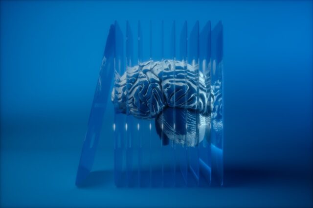Your Business Already Has the Most Valuable AI Asset. You